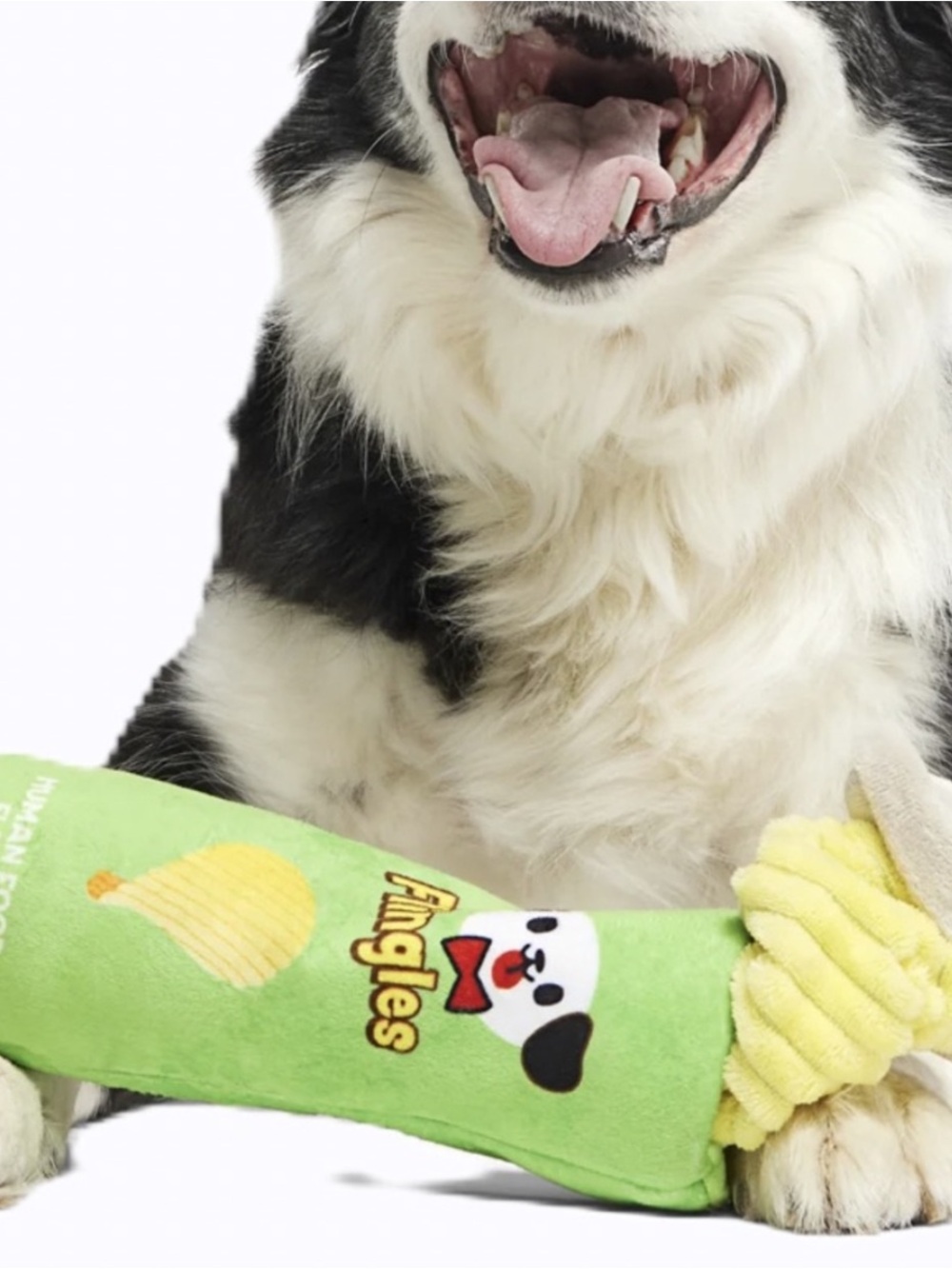 Bark ‘Flingles Can’ Plush Tug Dog Toy